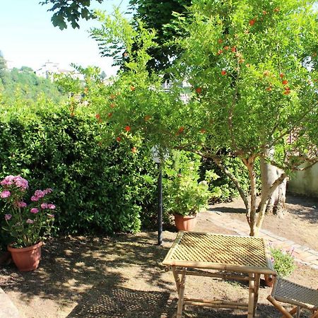 Le Coste Bed & Breakfast Veroli Bagian luar foto