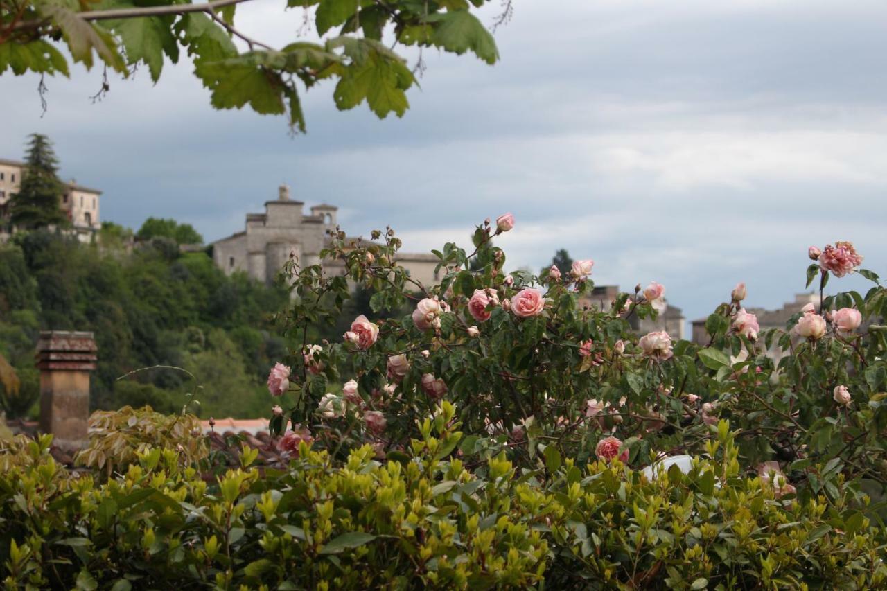 Le Coste Bed & Breakfast Veroli Bagian luar foto